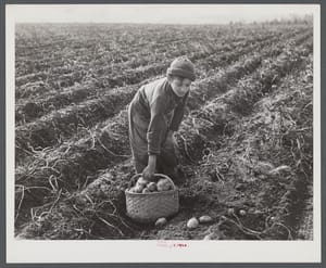 Scope Creep, 2025-12-08.