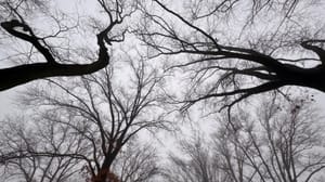 Supersaturate, Recharge